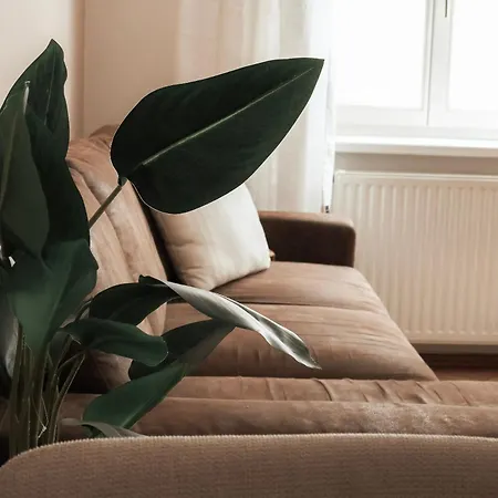 Cozy And Charming Near Centre With 2 Bathrooms Διαμέρισμα Γκρατς