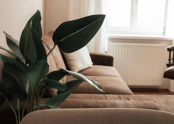 Cozy And Charming Near Centre With 2 Bathrooms Διαμέρισμα Γκρατς