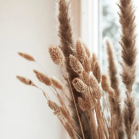 Cozy And Charming Near Centre With 2 Bathrooms Lejlighed Graz