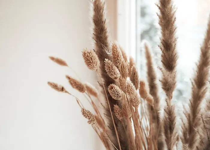 Cozy And Charming Near Centre With 2 Bathrooms 公寓 格拉茨