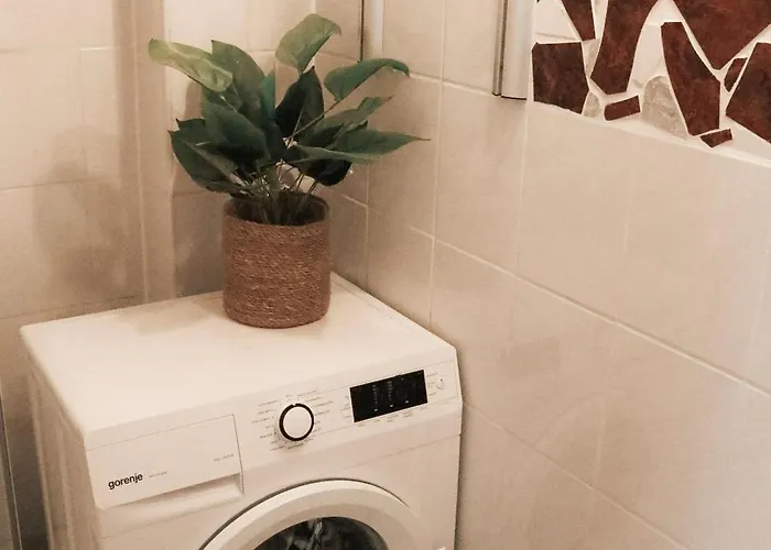 Cozy And Charming Near Centre With 2 Bathrooms 公寓 格拉茨